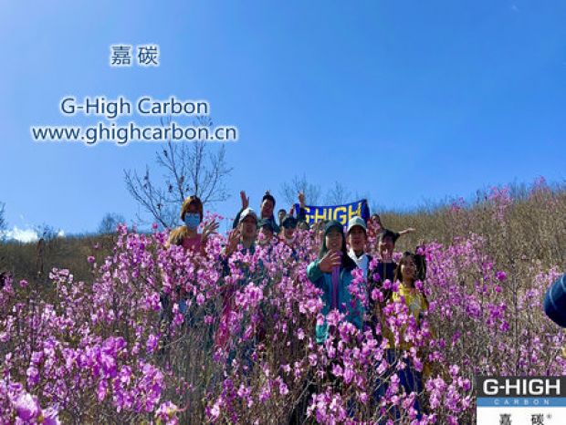 山野映山紅遍，嘉碳不負(fù)春光
