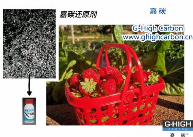 嘉碳還原劑守護“莓”好，甜蜜上線